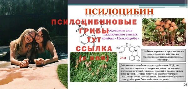 бутират Абаза