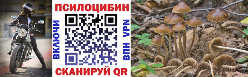 blacksprut маркетплейс  Белово  Галлюциногенные грибы мухоморы 