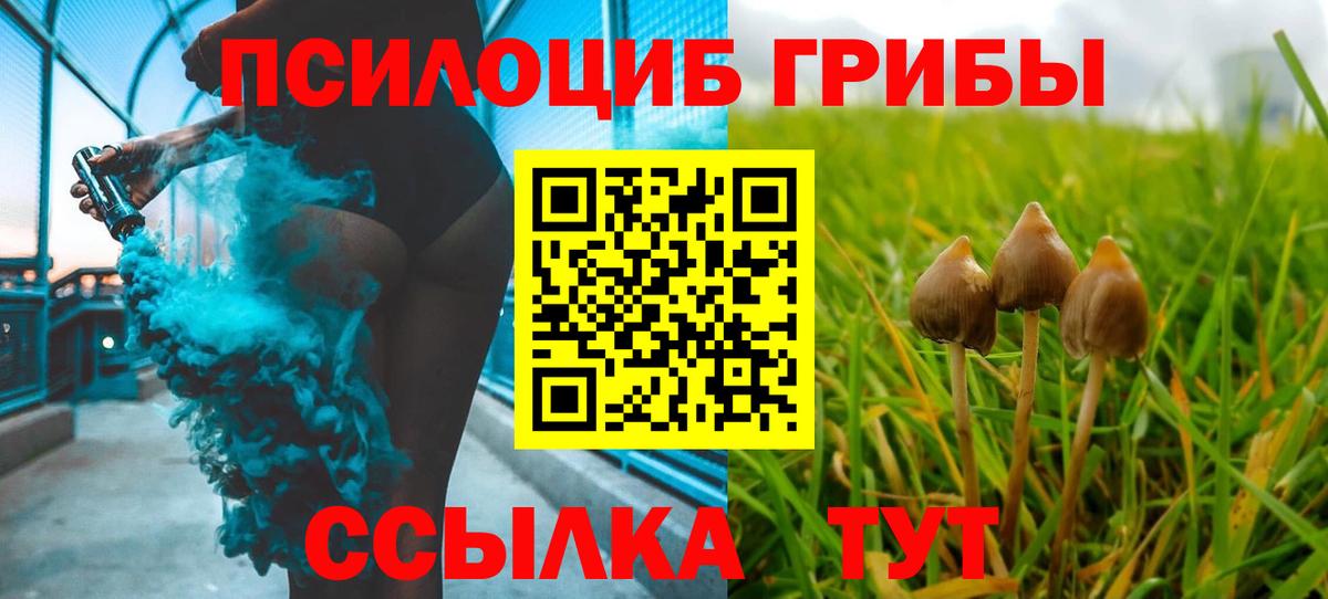 Псилоцибиновые грибы мухоморы  Вход с VPN  Белово  Псилоцибиновые грибы Psilocybine cubensis 