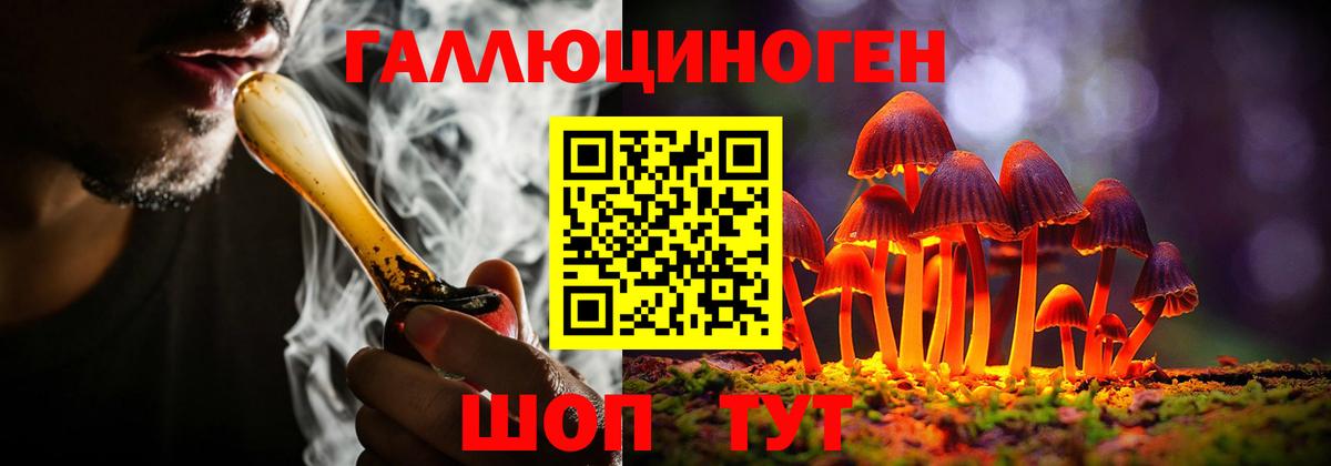 Галлюциногенные грибы Psilocybine cubensis Белово