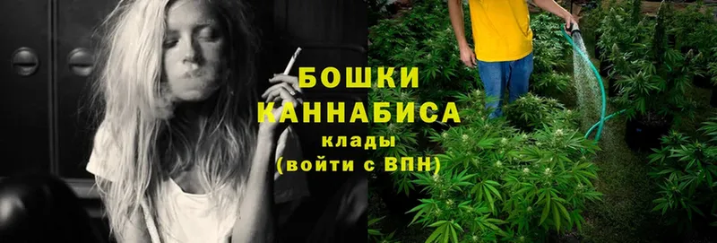 Шишки марихуана SATIVA & INDICA  даркнет сайт  Белово 